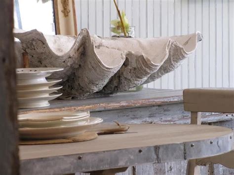 Clam shell decor nzymes reviews. (no title) | Beach house storage, Giant clam shell, Shell ...