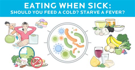what should you eat when sick [infographic] foods that help you fight bugs faster and avoid