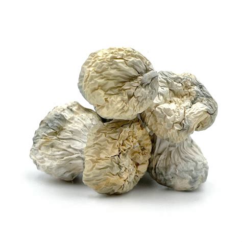 Buy Yeti Magic Mushrooms Online In Canada - Pacific Shrooms