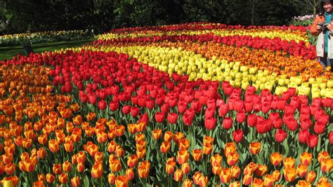 Terkeren 17+ Gambar Taman Bunga Indah Di Dunia - Gambar Bunga HD