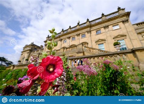 Flowers In The Gardens Of Harewood House Harrogate Stately Home Visible