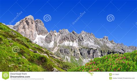 Dolomite Peaks Rosengarten Stock Image Image Of Meadow Europe 31179581