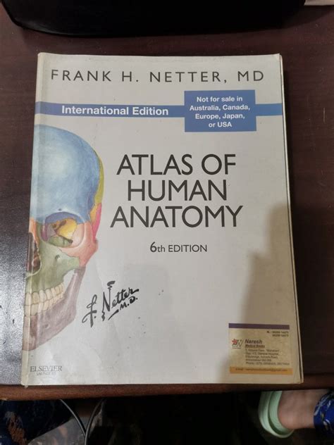 Netter Atlas Human Anatomy Book 6th Edition Hobbies And Toys Books