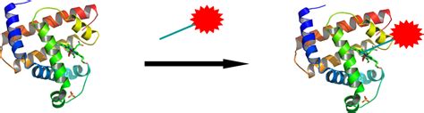 The bios modification tool allows end users to modify parameters in the system bios without need to recompile the bios. Protein modification & bioconjugation service