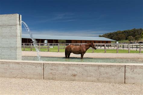 Gallery Of 8 Projects By Architects For Animals 2 Equestrian