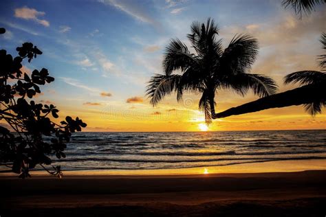 Coconut Tree With Sunset Stock Photo Image Of Resort 129538388