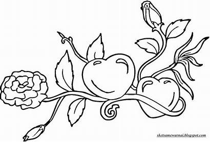 Bunga Mewarnai Sketsa Gambar Mawar Tumbuhan Tanaman