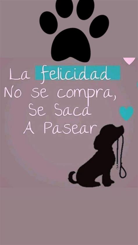 Arriba 49 Imagen Frases De Mascotas Viaterramx