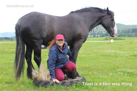 Picture Quote 14 “trust Is A Two Way Thing” Horse Savvy