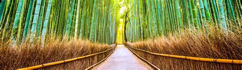 Exploring Arashiyama A Guide To Kyotos Bamboo Forest And Monkey Park