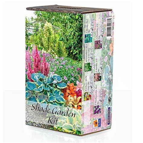 Shade Perennials Shade Garden Kit Hostas Astilbe And More Garden