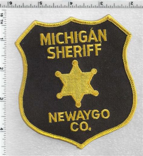 Newaygo County Sheriff Michigan 2nd Issue Shoulder Patch Ebay