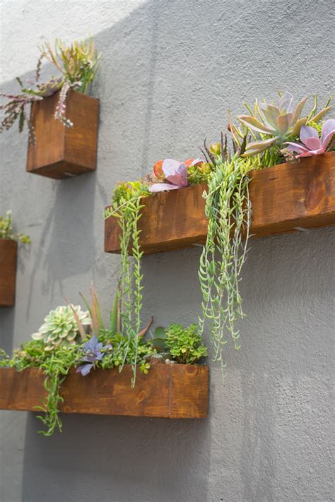 13 Outdoor Succulent Wall Garden Ideas Dalla Vita