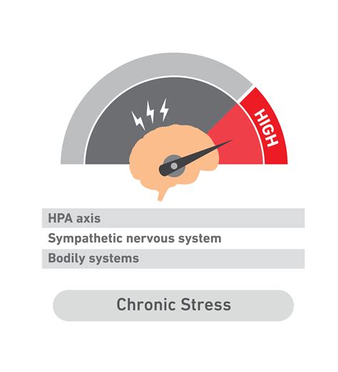 What Is Chronic Stress The Field Guide