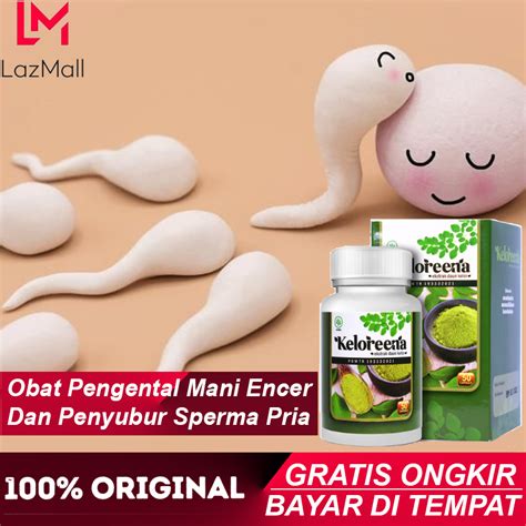 Keloreena Ekstrak Daun Kelor Premium Asli Original Obat Penyubur Sperma Lelaki
