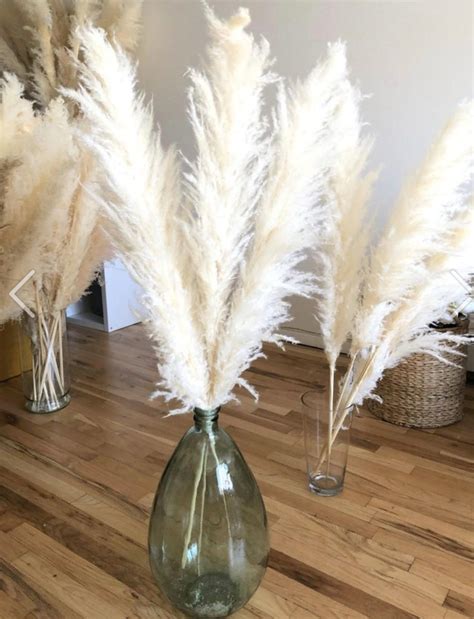 Tall Pampas Grass 4ft Grand Sale Dry Florals For Home Etsy Uk