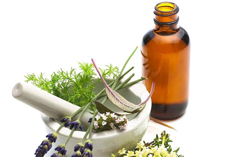 Understanding The Principles Of Homeopathic Medicine Evelin