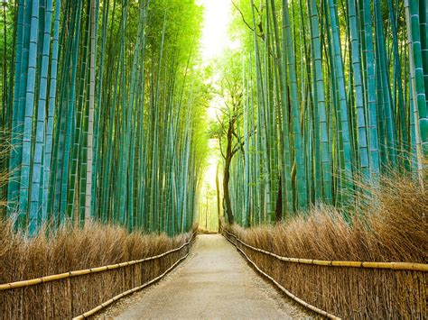 25 Most Beautiful Places In Japan Photos Condé Nast Traveler
