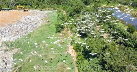 Birds Eye View Of Garbage Mountain From Dji Mavic Drone In The