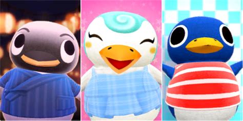The Best Penguin Villagers In Animal Crossing New Horizons