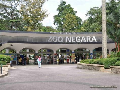 Visit malaysia's first national zoo, zoo negara, which covers 110 acres of land just 5km from the city of kuala lumpur. 4月份寿星!! 只有你可享有的7大 Birthday 优惠: 免费戏票, AEON Voucher… 不拿白不拿~