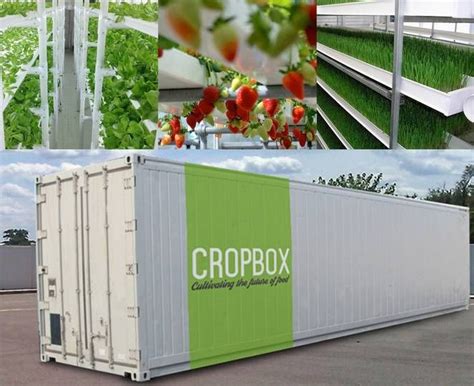 farm in a box produces an acre s worth of crops in a shipping container aquaponics vertical
