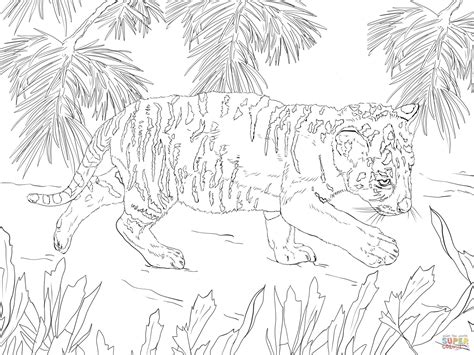 The color of the tiger is fluctuating between golden yellow and red orange. Snow Tiger Cub coloring page | Free Printable Coloring Pages