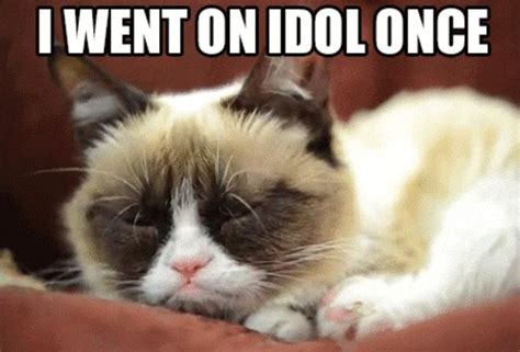 Free Download Report That Grumpy Cat Earned 100 Million Is Completely