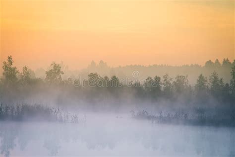 A Beautiful Colorful Landscape Of A Misty Swamp During The Sunrise