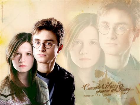 Hg Love Harry And Ginny And Ron And Hermione Wallpaper 25090782 Fanpop