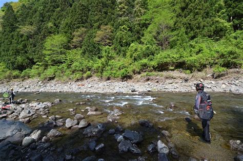ビギナーに優しいおすすめ釣り場 和歌山県 県内各地のアユ釣り河川 ana