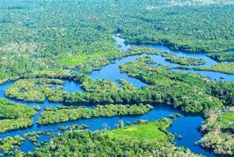 世界上最大的雨林：亚马孙雨林（占地面积为550万平方公里） 旅游达人 懂了笔记