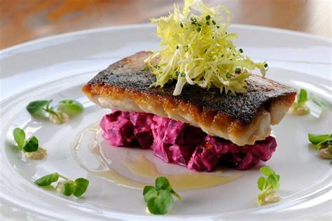 It prefers sandy or muddy seabeds and seaweed beds; Pan fried Sea Bream with Beetroot Jelly, Fennel Salad and ...