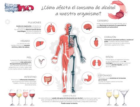Nueva Infografía De Los Que No ¿cómo Afecta El Uso Del Alcohol En