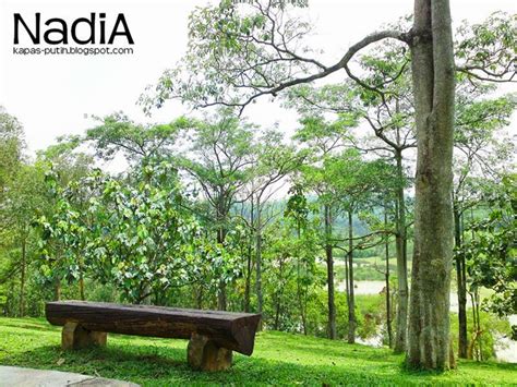 Nikmati liburan seru dan menyenangkan dengan berkunjung ke taman wetland. Taman Wetland Putrajaya | Oh my by Miss N (Main blog)