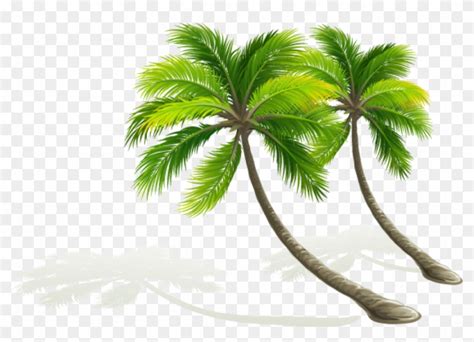 Palmeras Png Free Cliparts Download Images On Clipground