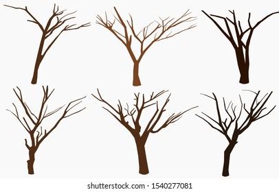 Collection Naked Trees Silhouettes Set Old Stock Vector Royalty Free