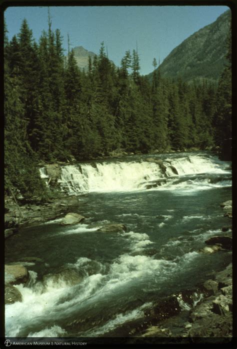 Amnh Digital Special Collections Mcdonald Falls Glacier