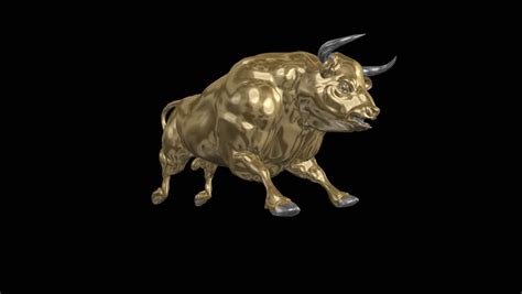 Golden Bull Ox Taurus Aggressive Staying Loop Left