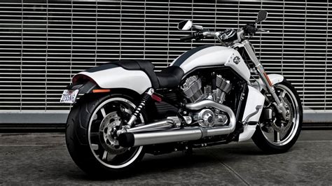 Discover all our custom bikes and enjoy all our streetfighter & muscle tuned around the world. Harley Davidson V Rod Muscle White Motorcycle | HD Wallpapers