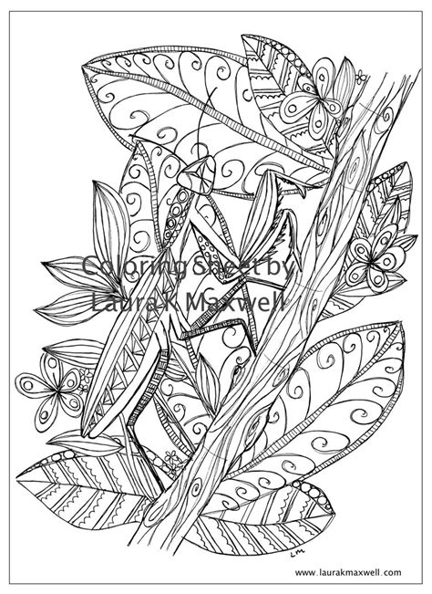 Praying Mantis Coloring Page Sketch Coloring Page