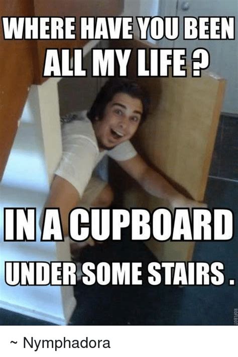 Where Have You Been All My Life In A Cupboard Under Some Stairs ~ Nymphadora Meme On Meme