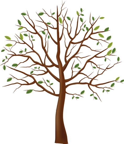 Tree Clipart Png Free Cliparts Download Images On Clipground