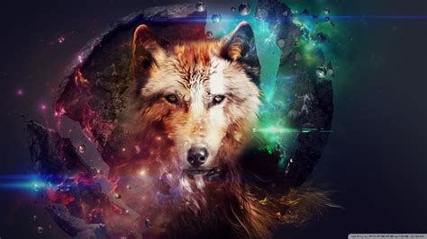 Magic Wolf Ultra Hd Desktop Background Wallpaper For 4k