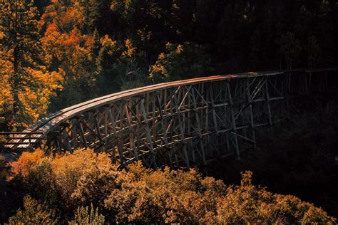 The Trestle In The Forest The Abandoned Mexican Canyon Trestle
