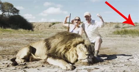 Viralife 2 Hunters Photographed With A Dead Lion But Then They Got A
