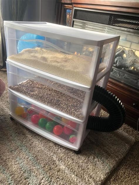 Ferret Dig Box Idea Small Animal Containers Tunnel Tubes Artofit