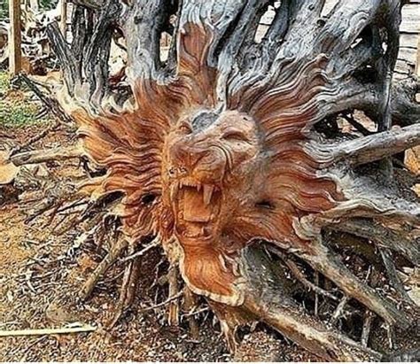 Wow Driftwood Sculpture Tree Sculpture Driftwood Art Sculptures