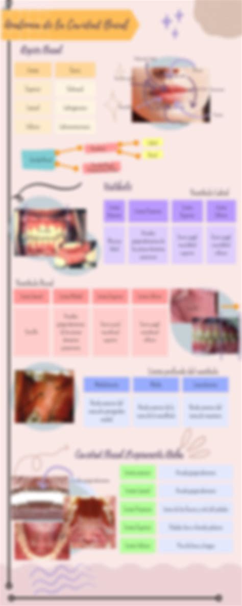 SOLUTION Infografía histología y anatomía de la cavidad bucal Studypool
