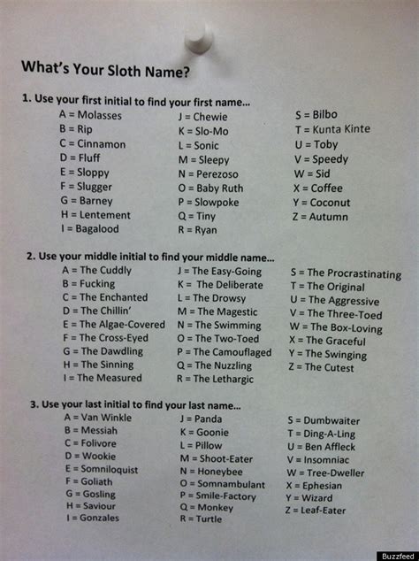 Whats Your Sloth Name The Definitive Chart Picture Huffpost